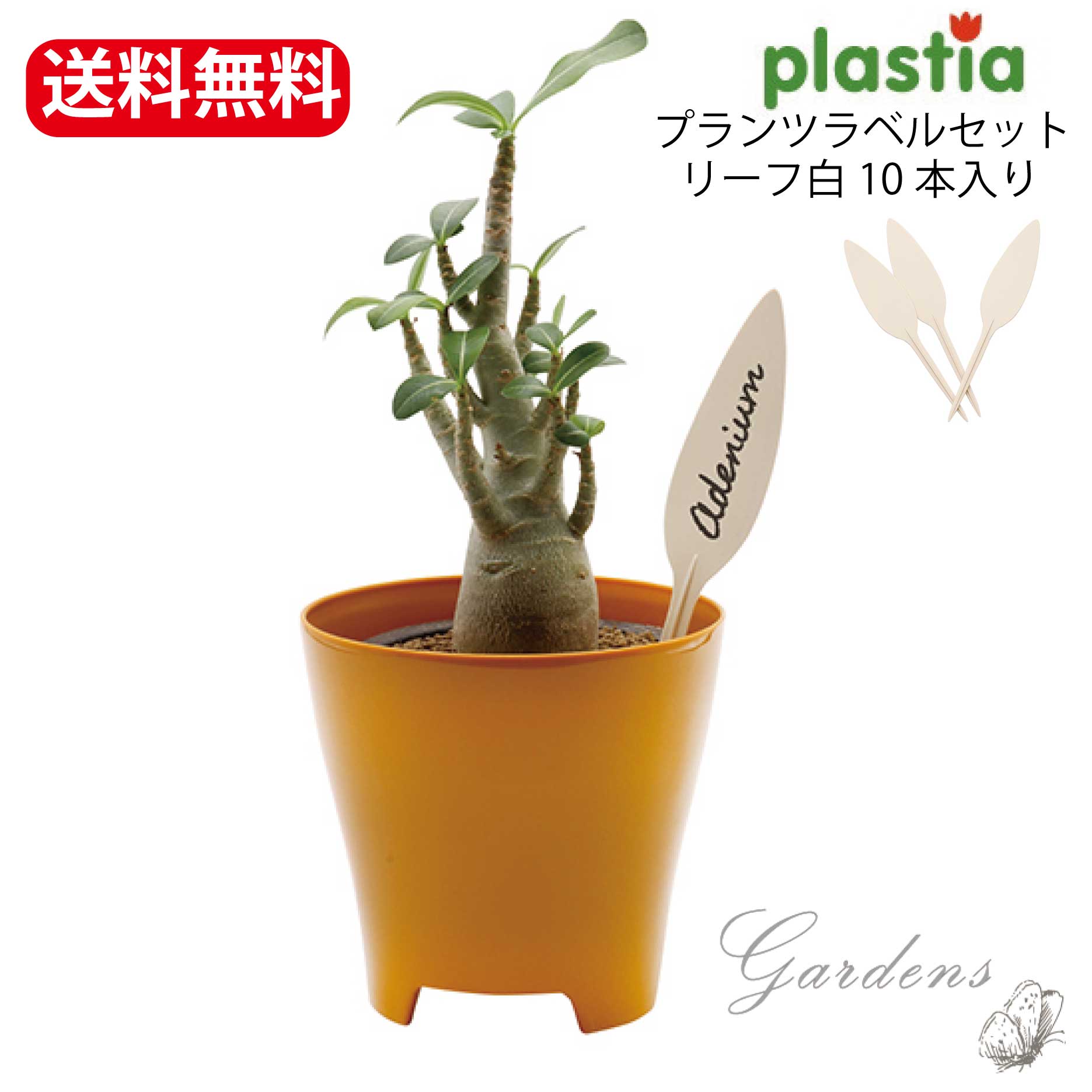 楽天市場 Plastia プラントラベル リーフ 葉 アイボリー 園芸ネームラベル 園芸ラベル プラントマーカー 植物ラベル ガーデンラベル 園芸ネーム プレート プランツマーカー フラワーラベル Gardens ガーデンズ