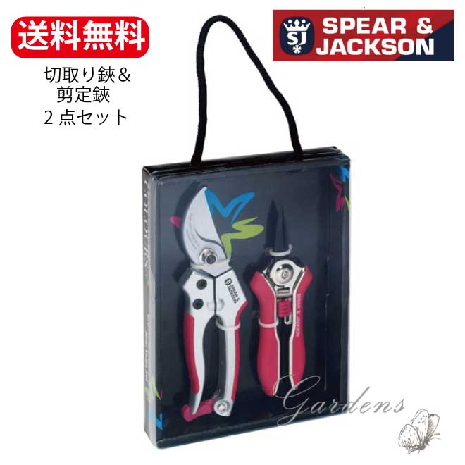 新入荷苗知らせ！！