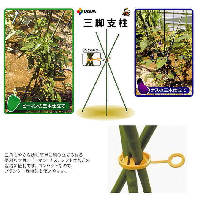 楽天市場 手軽に始める お家野菜 三脚支柱 直径11mm 長さ1cm 家庭菜園 三脚 支柱 ナス ピーマン 簡単 設置 ガーデン用品屋さん
