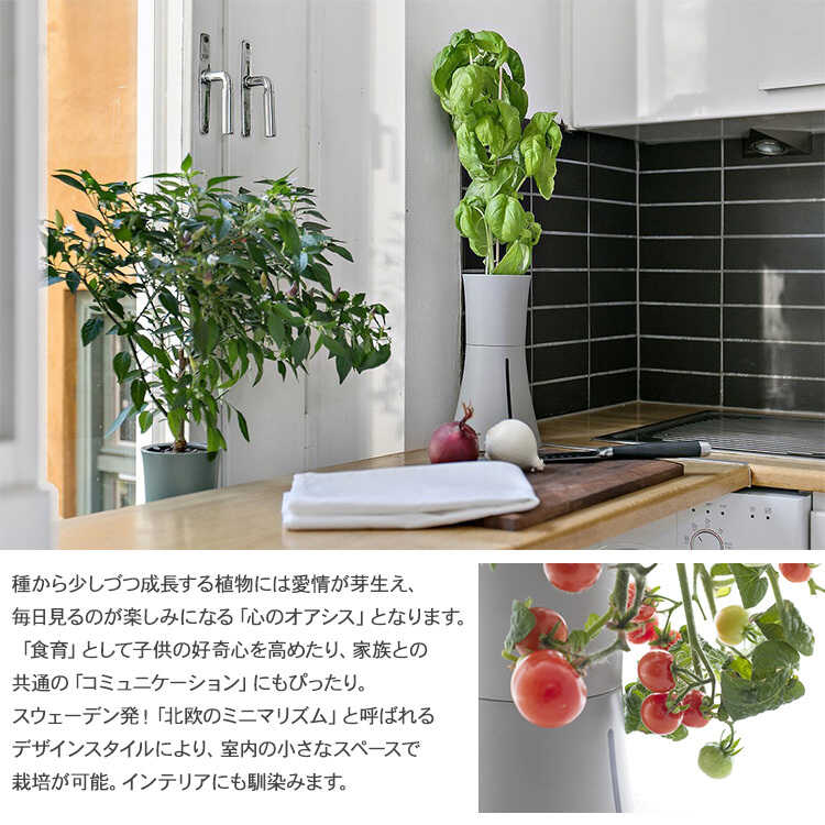 Botanium ボタニアム 液体栄養素 300ml Led 水耕栽培 観葉植物 花 野菜 ハーブ 家庭菜園 簡単 おしゃれ 北欧 知育 自由研究 エコ 省エネ 日光不要 手間いらず Korkmazmauritius Com