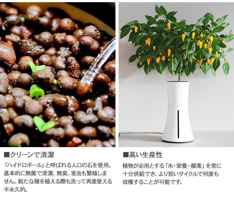 Botanium ボタニアム 液体栄養素 300ml Led 水耕栽培 観葉植物 花 野菜 ハーブ 家庭菜園 簡単 おしゃれ 北欧 知育 自由研究 エコ 省エネ 日光不要 手間いらず Giosenglish Com