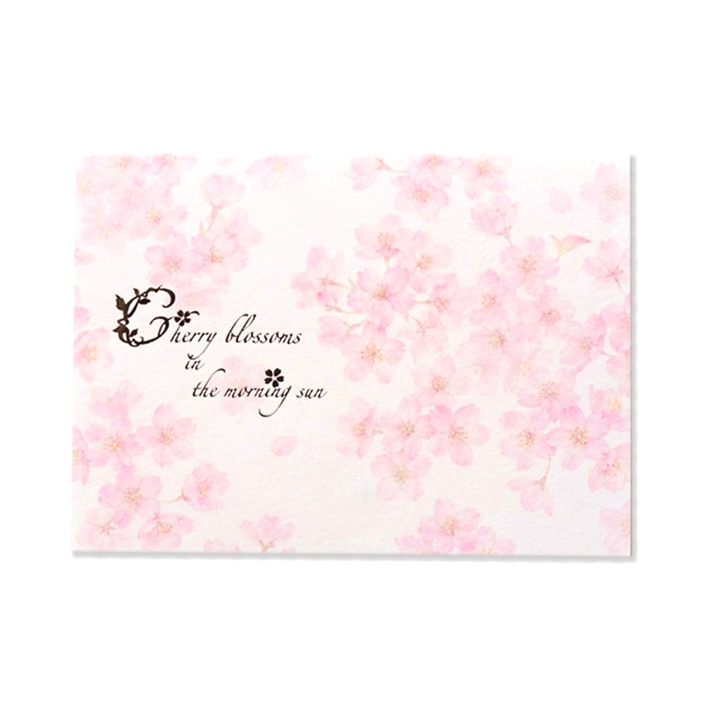 楽天市場】[18枚入り]便箋 紙司撰 OA SAKURA 257x182mm B5サイズ 2柄18