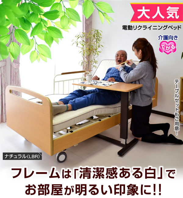 電動ベッド 大臣 介護ベッド ３モーター式 介護用リフト電動ベッド介護ベッド レビューで１年補償 吊り上げ 介護 デニム 車椅子 軽減 入浴 介護向け ３モーター式 3モーター てがる 激安家具 店 腰痛 おむつ取替え 床ずれ 床擦れ リクライニングスーパーセール 脚