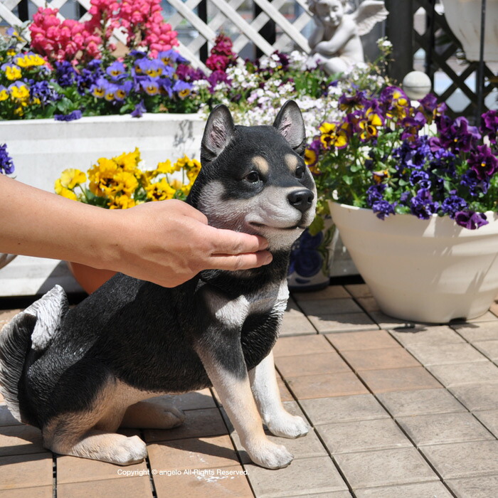 楽天市場 犬置物 ガーデニング雑貨 クロ柴犬 庭 玄関 柴犬 しばいぬ くろしば 送料無料 ガーデニング ガーデン 雑貨 オーナメント おしゃれ 置物 おうち時間 大人かわいい雑貨 インテリア雑貨置物 ウエルカム ギフト対応 ガーデニング雑貨天使アンジェロ