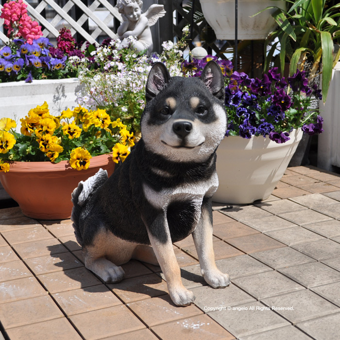 楽天市場 犬置物 ガーデニング雑貨 クロ柴犬 庭 玄関 柴犬 しばいぬ くろしば 送料無料 ガーデニング ガーデン 雑貨 オーナメント おしゃれ 置物 おうち時間 大人かわいい雑貨 インテリア雑貨置物 ウエルカム ギフト対応 ガーデニング雑貨天使アンジェロ