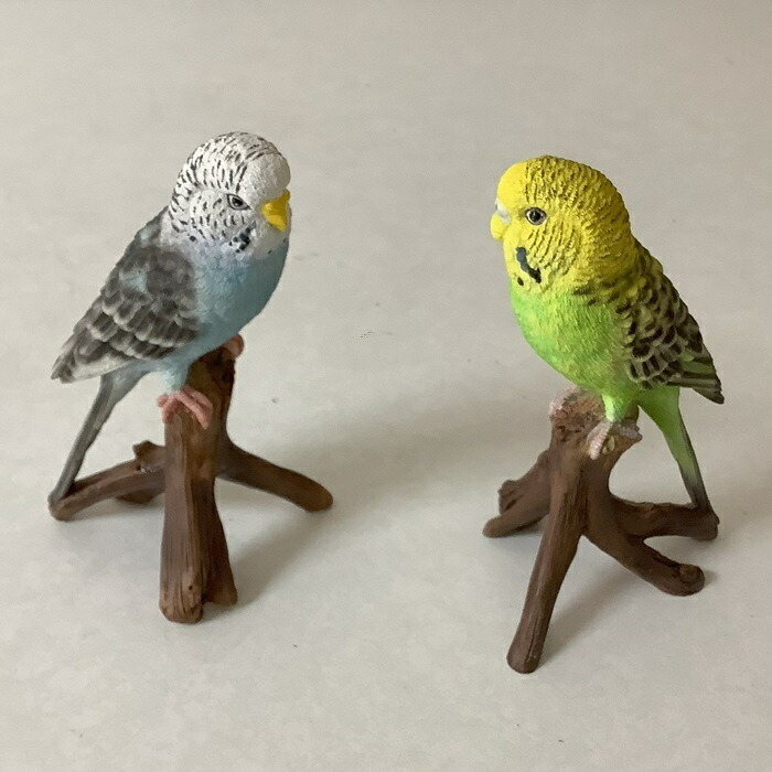 リクエストNO.2547☆セキセイインコ☆4点セット リクエストNO.2547☆セキセイインコ☆4点セット （インコひな用