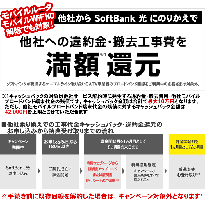 山清 有機栽培 鬼からし 30g 1ケ 21特集