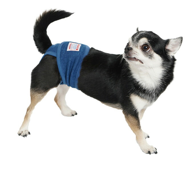 1点までメール便可 犬 服 マナーパンツ Brothers Pants Manner Mandarine ドッグウェア マンダリンブラザーズ 1点までメール便可 犬 服 マナーパンツ Brothers Pants Manner Mandarine ドッグウェア マンダリンブラザーズ