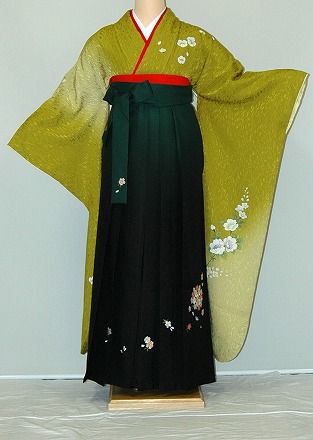【賃借】振袖、袴（刺しゅうはかま）賃借【青・青紫・緑系】【HF732】判定基準/Ｌ寸/7号/9号/11号/13号/冬春社会的運動