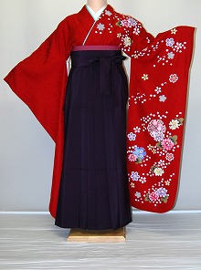 【賃借】振袖、袴（はかま）賃借【赤・サクラ色・赤紫系】【HF734】判定基準/Ｌ寸/7号/9号/11号/13号/冬春社会的運動