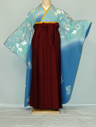 【賃借】振袖、袴（はかま）賃借【青・青紫・緑系】【HF751】判定基準/Ｌ寸/7号/9号/11号/13号/冬春社会的運動