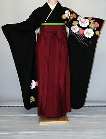 【賃借】振袖、袴（はかま）賃借【黒・茶・薄墨色系】【HF752】判定基準/Ｌ寸/7号/9号/11号/13号/冬春社会的運動