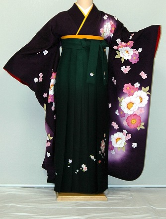 【レンタル】振袖、袴（刺繍はかま）レンタル【青・青紫・緑系】【HF781】標準/Ｌ寸/7号/9号/11号/13号/冬春キャンペーン