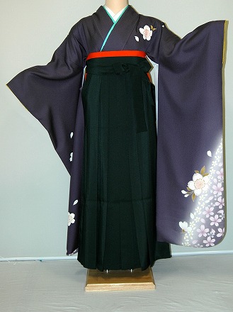 【賃借】振袖、袴（はかま）賃借【黒・茶・薄墨色系】【HF701】判定基準/Ｌ寸/7号/9号/11号/13号/冬春社会的運動