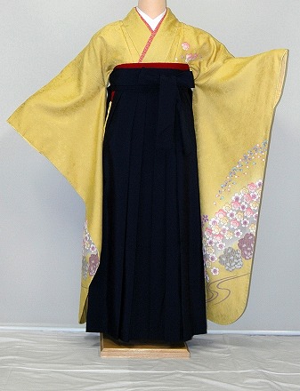 【賃借】振袖、袴（はかま）賃借【黄味がかった・淡色系】【HF783】判定基準/Ｌ寸/7号/9号/11号/13号/冬春社会的運動