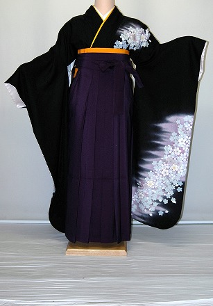 【賃借】振袖、袴（はかま）賃借【黒・茶・薄墨色系】【HF907】広々とした大きさ/ゆったり/馬鹿でかい/幅ひろい/2Ｌ/3Ｌ/13号/15号/17号/袴賃借 冬春社会的運動
