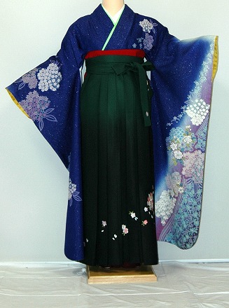 【レンタル】振袖、袴（刺繍はかま）レンタル【青・青紫・緑系】 【HF921】ワイドサイズ/ゆったり/大きい/幅広/2Ｌ/3Ｌ/13号/15号/17号/19号/袴レンタル 冬春キャンペーン 22,792円