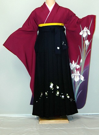 长袖和服和袴 (仍然是) 出租宽尺寸 / 大 / 大 / 宽 / 3 l/4 l/17 号