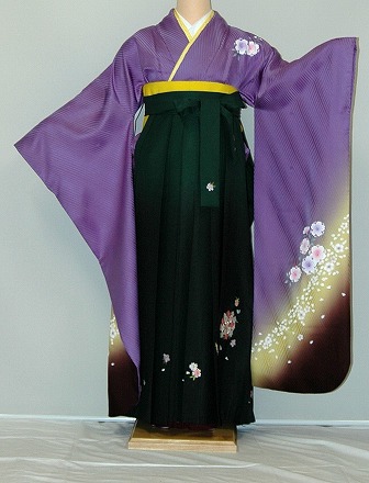 【レンタル】振袖、袴（刺繍はかま）レンタル【青・青紫・緑系】 【HF934】ワイドサイズ/ゆったり/大きい/幅広/2Ｌ/3Ｌ/13号/15号/17号/19号/袴レンタル 冬春キャンペーン