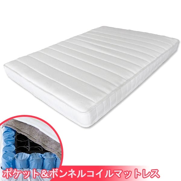 ひんやり特集