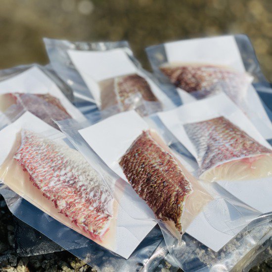 【送料無料】 百年漁師の真鯛 切身 70g×6パック 真鯛 鯛 タイ 魚 海鮮 鹿児島 おつまみ ご飯のお供 ごはんのお供 ご飯のおとも 産地直送 お取り寄せ グルメ ご当地 ご当地グルメ 食品 食材 食べ物 グルメ   ギフト プレゼント 敬老の日 敬老