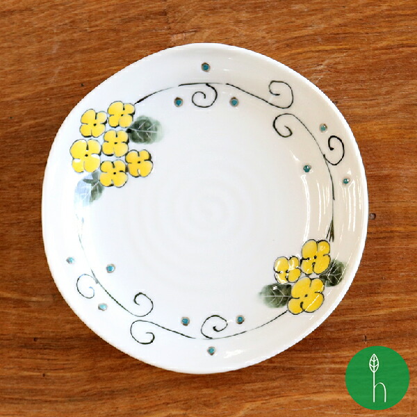 小松華功　和食器　中皿 楽天市場】和食器 小皿 中皿【5点セット】 対角19cm「 たち吉
