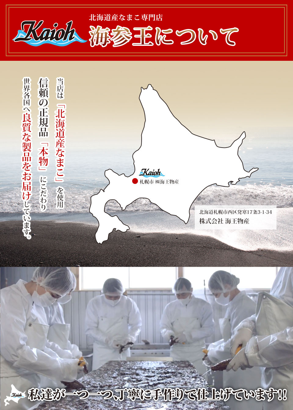 【送料無料】乾燥なまこ北海道産乾燥海参【特A品】Lサイズ25個前後入り(250g)中華高級食材干し海鼠北海キンコ海参安心品質保証北海道産天然乾燥なまこ乾燥ナマコ干しなまこ干しナマコ高級珍味贈答品ギフトナマコ乾燥金ん子/1003528