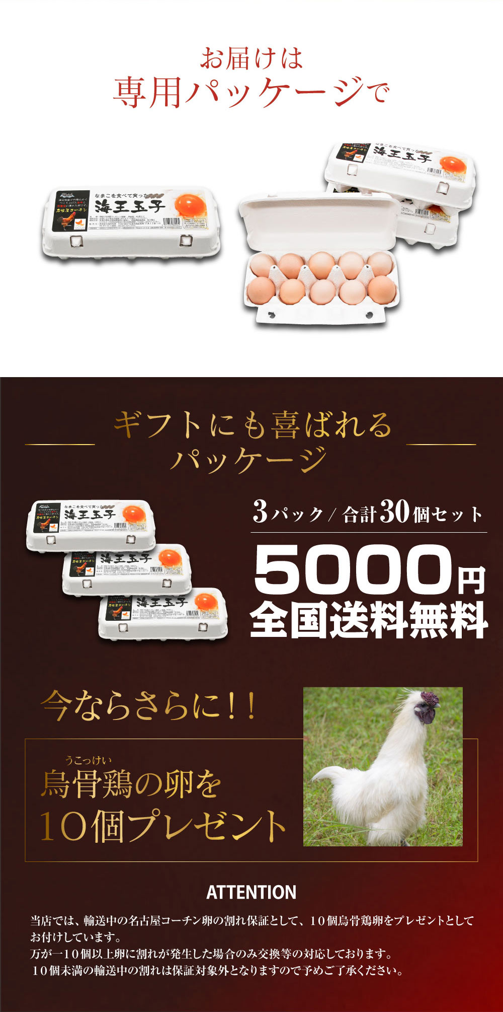 楽天市場 送料無料 海王玉子 カイオウタマゴ 名古屋コーチン 卵 30個入り 高級卵 玉子 たまご 贈答卵 ご家庭卵 ブランド卵 鶏卵 ギフト 海参王