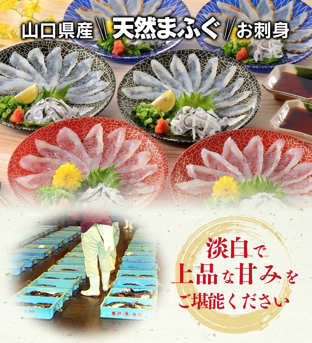 送料無料 下関直送 天然まふぐ酷評 食べ比べ固化 刺身 たたき 昆布総計 ふぐ木皮 送料無料 ふぐ 河豚 下関ふぐ 下関河豚 ふぐ刺し 取寄せ お取り寄せ 幣物 給付 贈呈品位 付届 生まれ機会 お祝儀 内祝 高度 食料雑貨類 食物 グルメ 九州 21 御父様の日 御中元 クーポン券