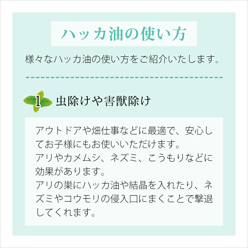 スーパーセール10 Off 食品添加物 日本製 天然ハッカ油500ml 30mlスプレーセット 詰め替えに便利なスポイト2本付 天然和種ハッカ100 虫除け 消臭 除菌効果 Zaviaerp Com