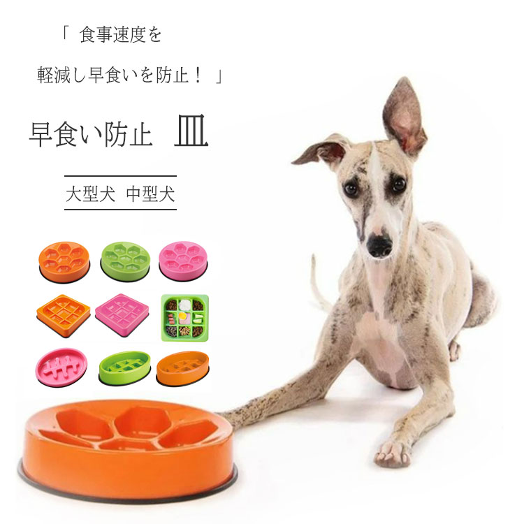 【楽天市場】【最大15OFFクーポン】早食い防止 皿 おしゃれ 犬 猫 食器 皿 大型犬 中型犬 ペットボウル フードボウル 早食い