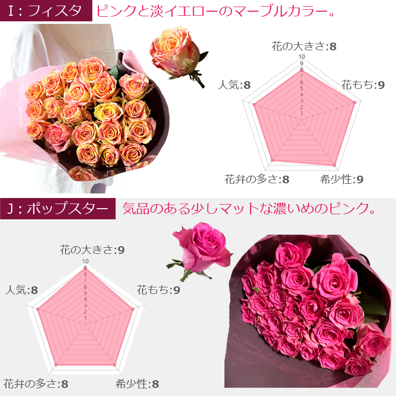 大輪バラの花束 10本～ 20本以上で送料無料】【長持ち 大きい 国産大臣