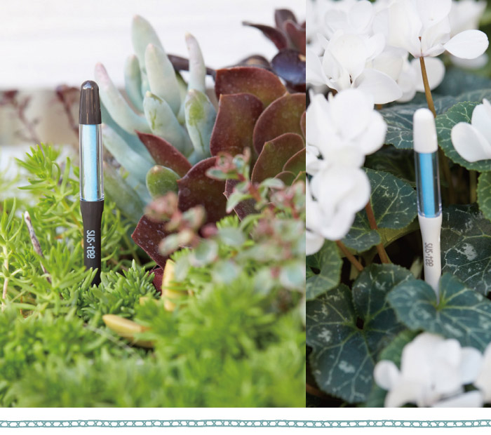 【単品購入可能!】【送料無料】『植物用水分計サスティーSサイズ』水やりのタイミングが分かる植物用水分計2号鉢〜以上にはSサイズをおすすめします♪水分計/sustee/ガーデニング/観葉植物/植物用/バレンタインホワイトデー