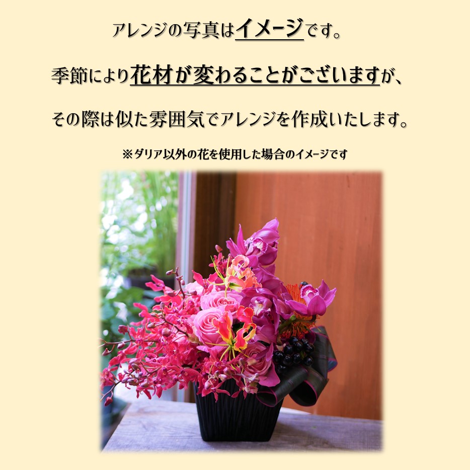 お頂点 図らうメント 花 可愛い 生れ出る日曜日 お御祭 開店祝い事 差し上物 ダリア バラ カンガルーポー グロリオサ アレンジ 貨物輸送無料 Nobhillmusic Com
