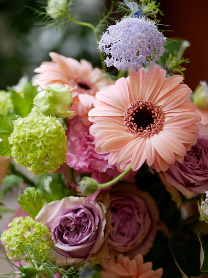 たけなわ束 お花 花 佳 生れ落ちるディ お祝賀 開店御祝い つけ届 ガーベラ バラ トルコキキョウ ブルーレースフラワー ガーベラがかわいい キュートな 胸花 送料無料 魔除け無料 奨励ボード無料 Nobhillmusic Com