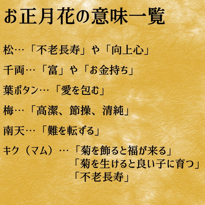 楽天市場 敬老の日 お正月 正月 誕生日 花 誕生日プレゼント アレンジメント フラワー ギフト 送別会 花 結婚記念日 妻 お見舞い お誕生日 お花 送料無料 札無料 メッセージカード無料 誕生日 開店祝い お悔やみ 花匠美