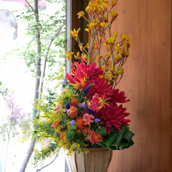 御花 申し合わせ 花 可愛らしい 生まれ落ちる日 お祝 開店祝賀会 差し上げ物 ダリア カンガルーポー 取りあわせる 貨物輸送無料 【花匠美ブランド名】