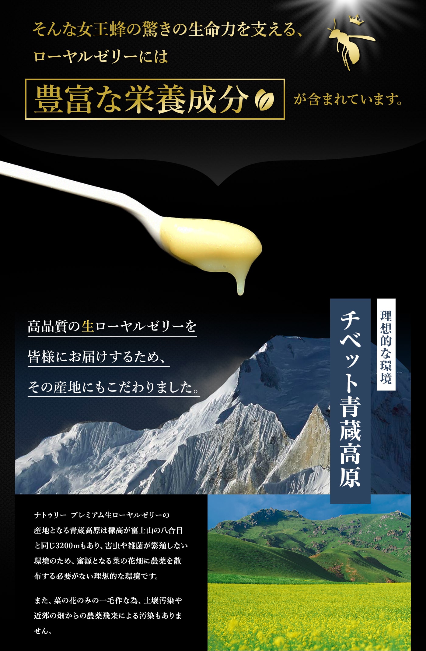 【デセン酸2%】生ローヤルゼリー100g【充填工場より直送クール冷蔵】