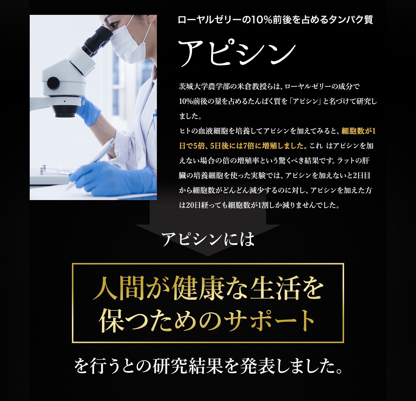 【デセン酸2%】生ローヤルゼリー100g【充填工場より直送クール冷蔵】