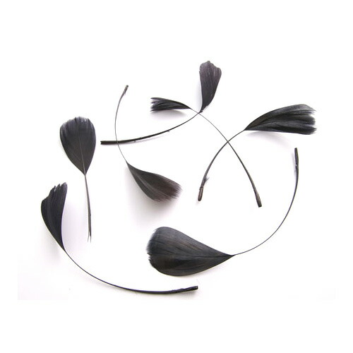 楽天市場】羽 尾毛 黒 （20-25cm) 羽根 2本【装飾用】【黒い羽根