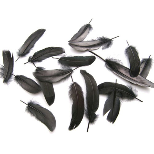 楽天市場】グース 黒染 10本 【黒い羽根 フェザー アクセサリー パーツ
