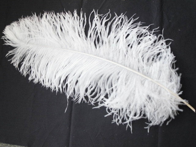 オーストリッチ小 15-25cm （ピンク）(2本 set) この羽根はディスプレイ、アクセサリー、ヘットドレス等に使用されてます。