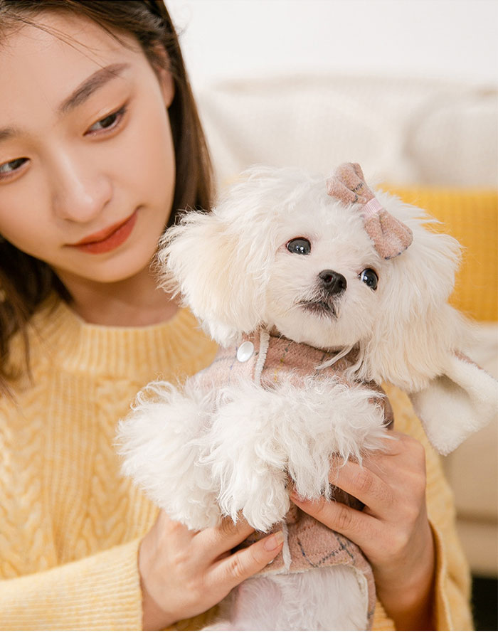 市場 ペットの服 犬 通気性 柔らかい 写真 ドッグウェア 格子縞 キャット 猫服 面白い 撮影道具 猫 コスチューム 可愛い ネコ 冬用 市場 ペットの服 犬 通気性 柔らかい 写真 ドッグウェア 格子縞 キャット 猫服 面白い 撮影道具 猫 コスチューム 可愛い ネコ 冬用