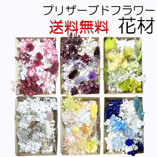 プリザーブドフラワー花材セット　まとめ売り 003-3-00SUM.gif