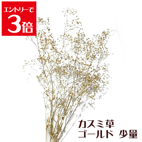 楽天市場】＼クーポン配布／ プリザーブドフラワー バラ 【1輪