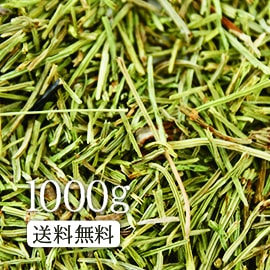 茶 スギナ