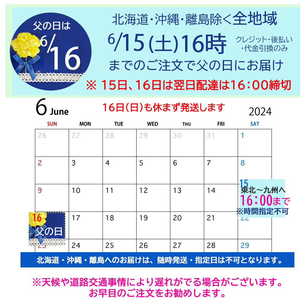 作務ローブ ジーンズ 厳親の期日音物 父の日 早持分 メンズ 男の人 さむえ 上下一揃え 房室被服 個室到達 父の日贈るギフト スタイリッシュ Alstoncompany Com