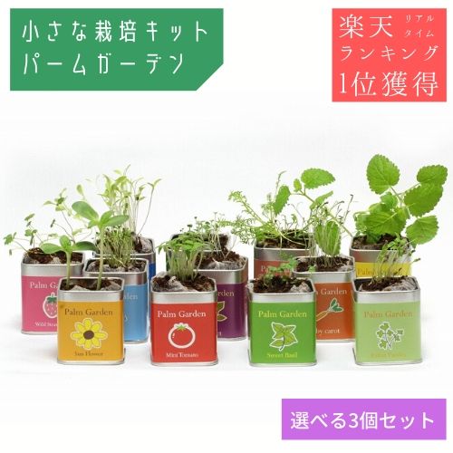 楽天市場 栽培キット 栽培セット ハーブ 家庭菜園 育てるフレーバー 全4種 聖新陶芸 町の小さな雑貨屋さん アポン