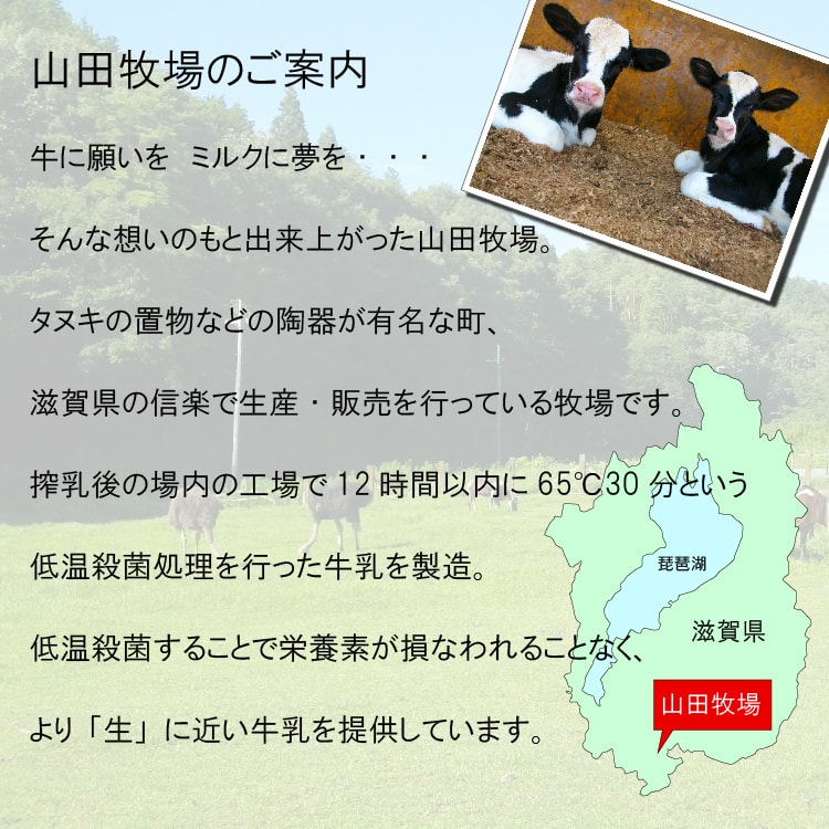 楽天市場 楽天1位獲得 山田牧場 贅沢チーズケーキ 唯一無二の絶品グルメさん紹介 アド街ック天国 で紹介されました Brutusお取り寄せグランプリ 約2人から3人用 冷凍便 プレゼント スイーツ N Plus