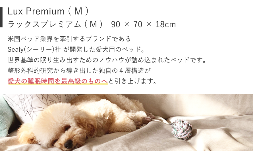 Sealy Dog Bed Lux Premiumシーリー愛犬用ベッド ラックス Mサイズ シーリー Sealy 犬用ベッド 90cm クッション 志村どうぶつ園 みやぞん ラブちゃん 1stfitness Az